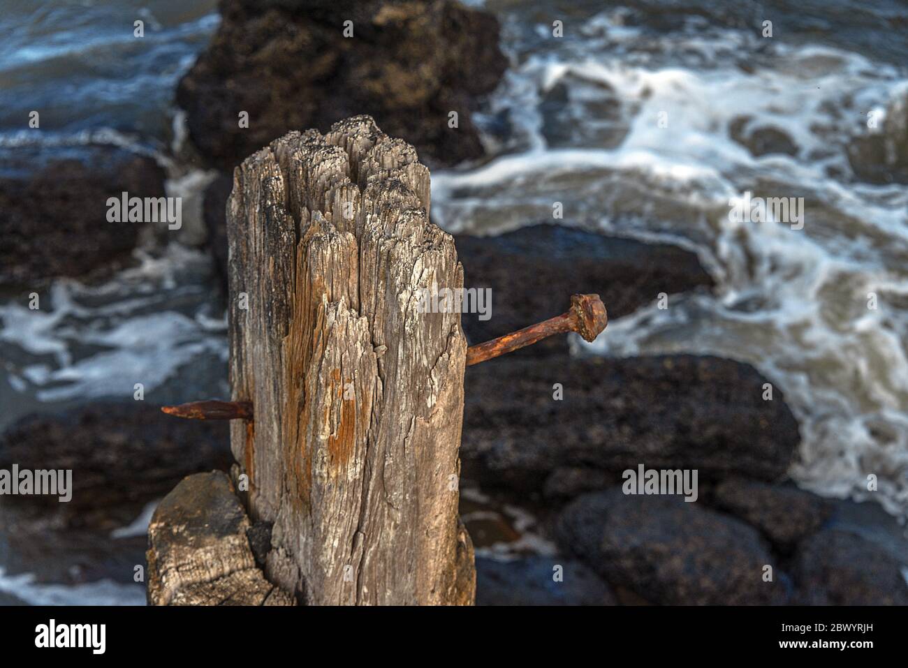 Urban decay. Metal, stone, bricks and wood turning into organic structures due to the action of the tide. Stock Photo