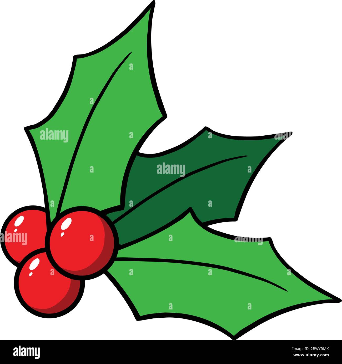 Christmas Holly- An Illustration of Christmas Holly Stock Vector Image ...