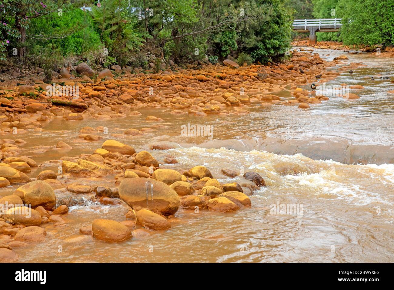 The Queen River running through Queenstown Stock Photo Alamy