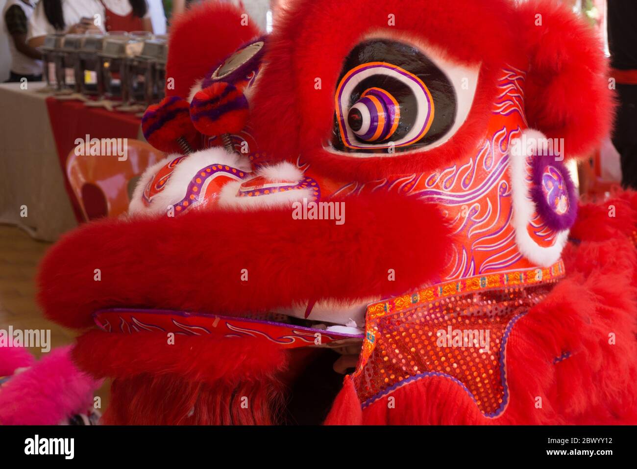 Chinese lion dance performance during Chinese New year festival Stock ...