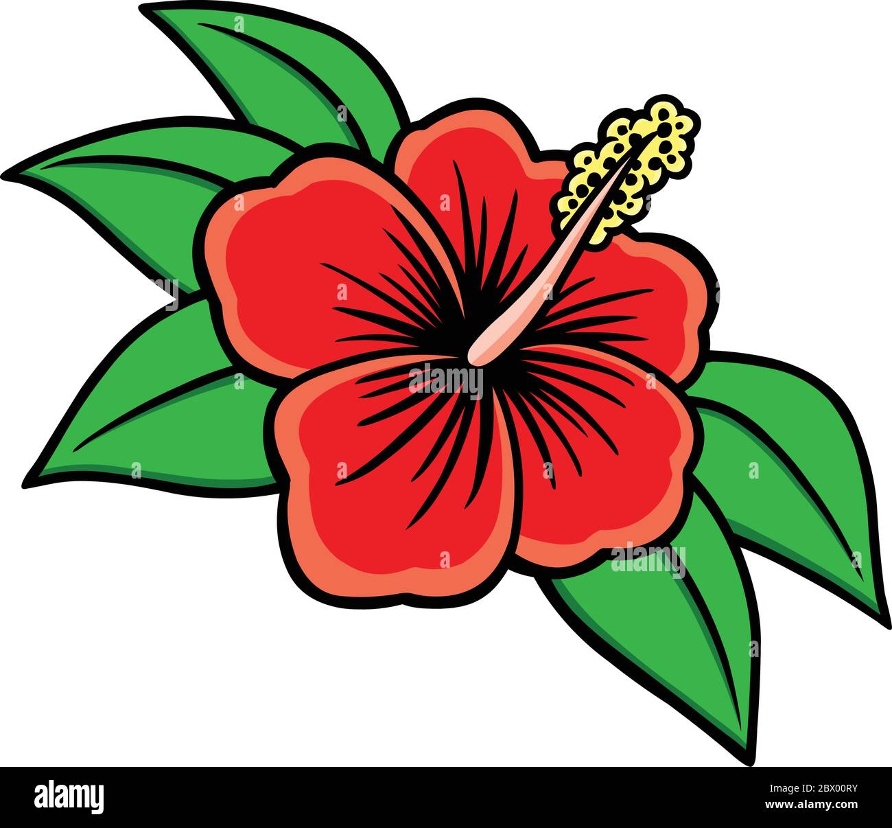 Hibiscus- An Illustration of a Hibiscus Flower. Stock Vector