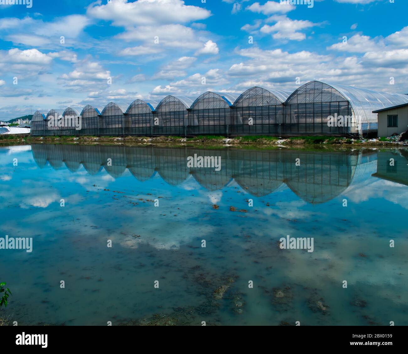 Greenhouses At Landscape High Resolution Stock Photography and Images ...