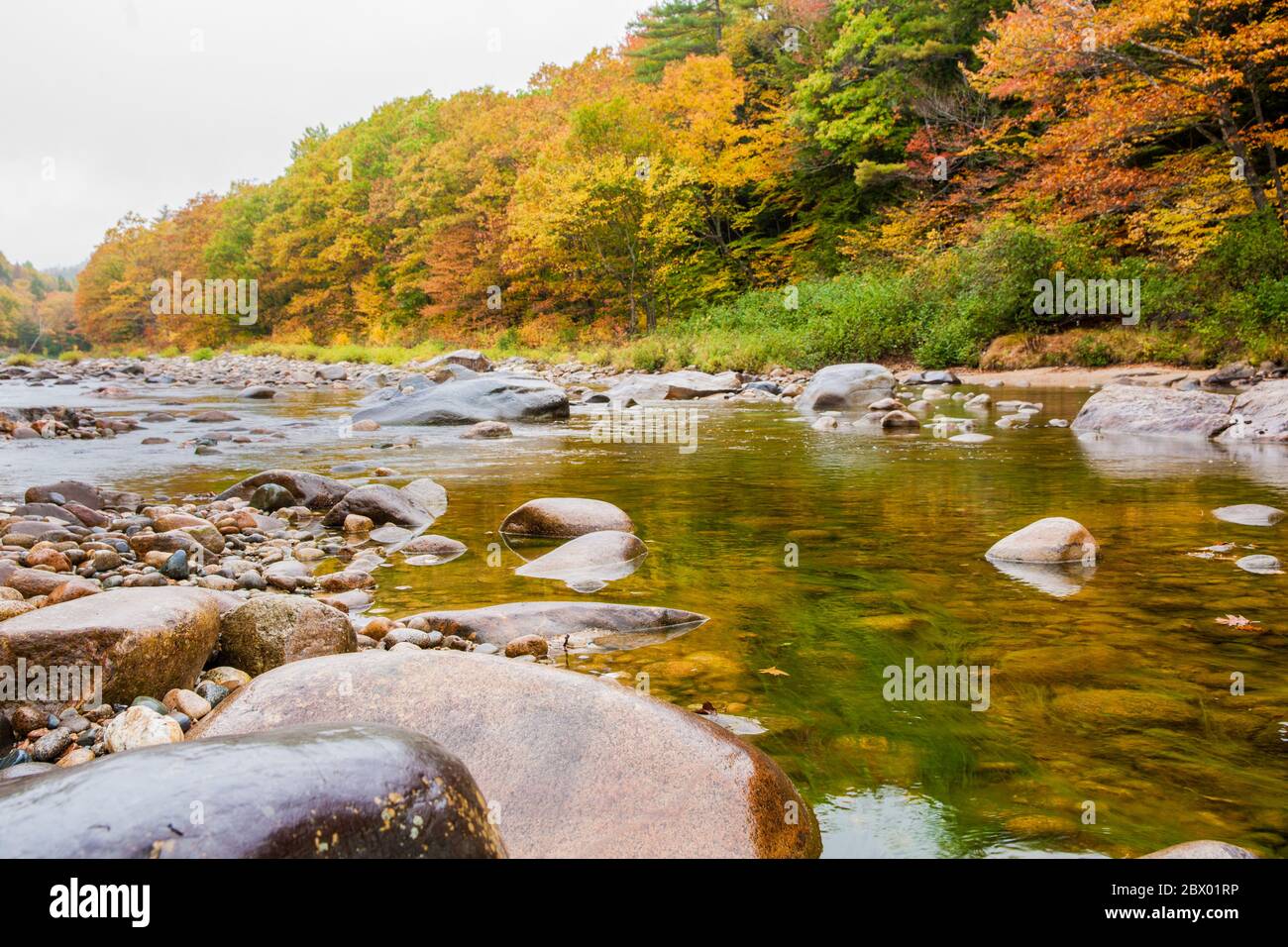 Bolders in shallow river in New England White Mountains National Park against background of colorful  forest in fall Stock Photo