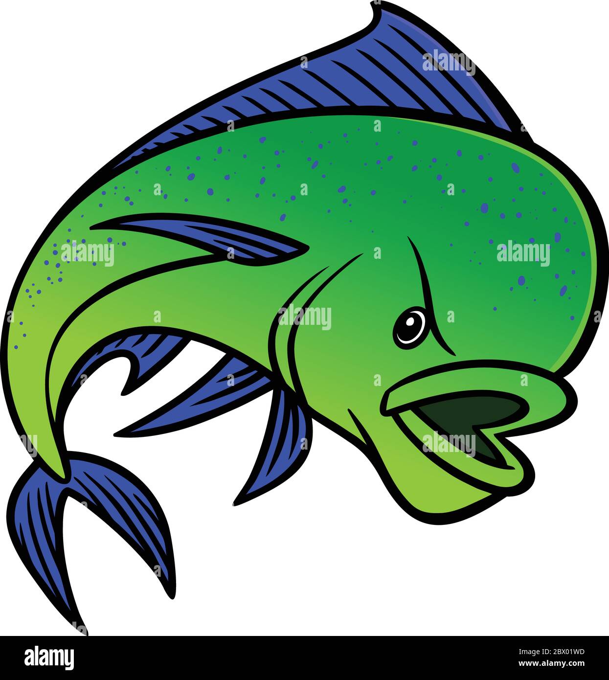 Mahi Mahi An Illustration of a Mahi Mahi Stock Vector Image & Art Alamy