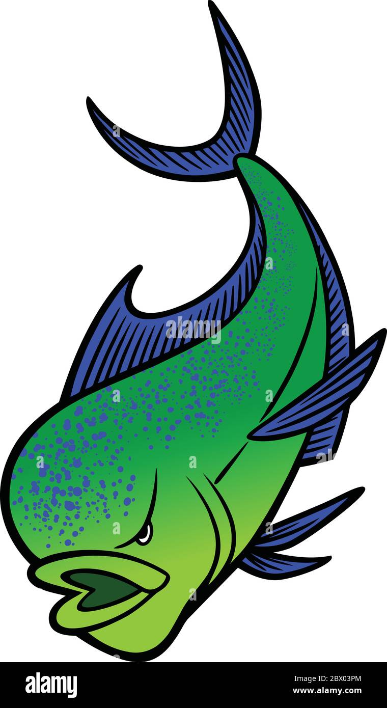 Mahi Mahi Mascot An Illustration of a Mahi Mahi Mascot Stock Vector
