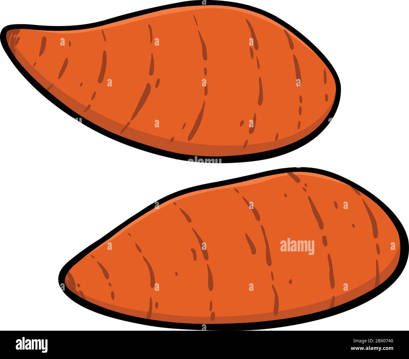 Sweet Potatoes An Illustration of Sweet Potatoes Stock Vector Image