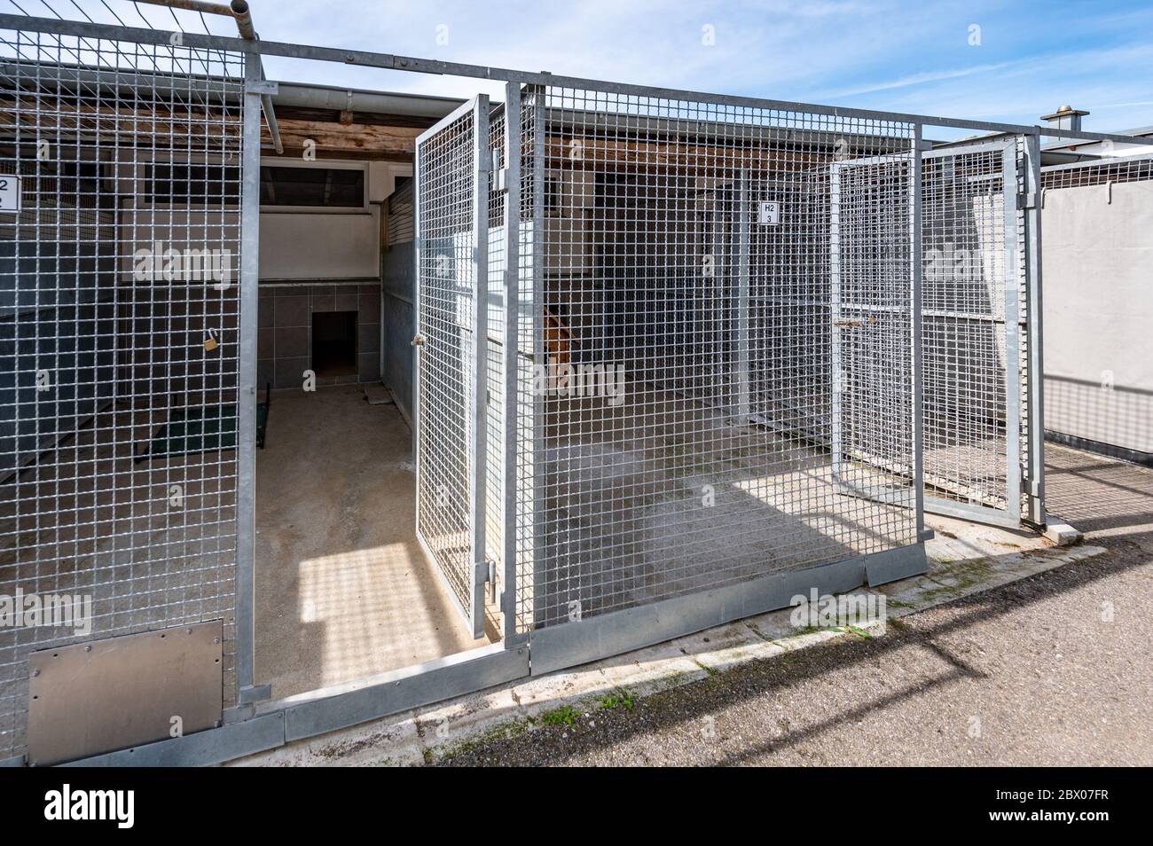 cat kennels for shelters