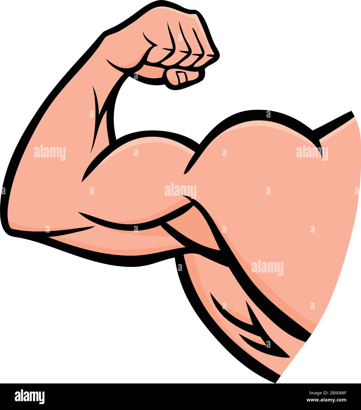 https://c8.alamy.com/comp/2BX088F/strong-arm-an-illustration-of-a-strong-arm-2BX088F.jpg
