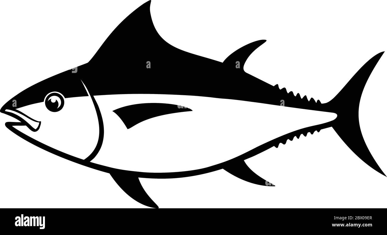 Tuna Fish- An Illustration of a Tuna Fish. Stock Vector
