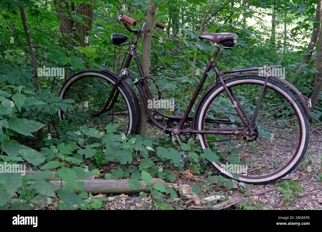 Abandoned bicycle in a forest Stock Photo
