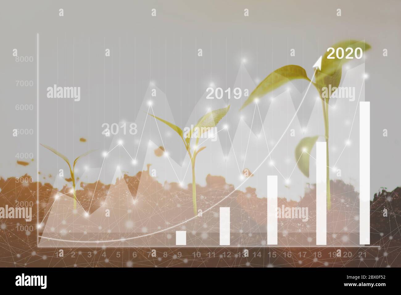 Growth Sequence - A sequence of seedlings growing progressively taller, isolated against a white background with stock market graph and arrow up . Sma Stock Photo
