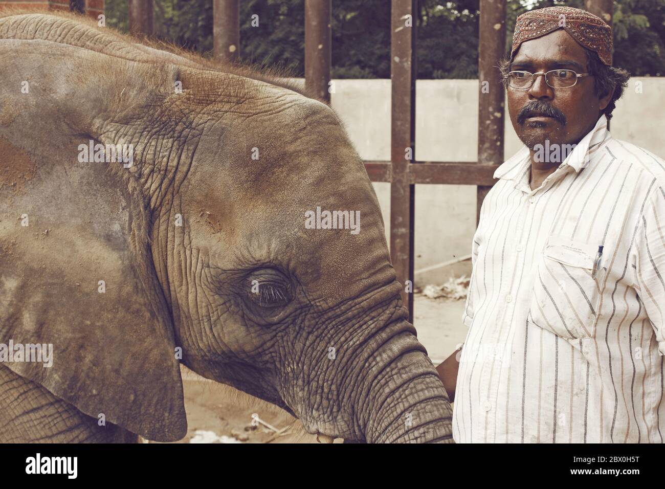 Baby elephant at Karachi Zoo with caretaker, Karachi, Pakistan 26-06-2012 Stock Photo