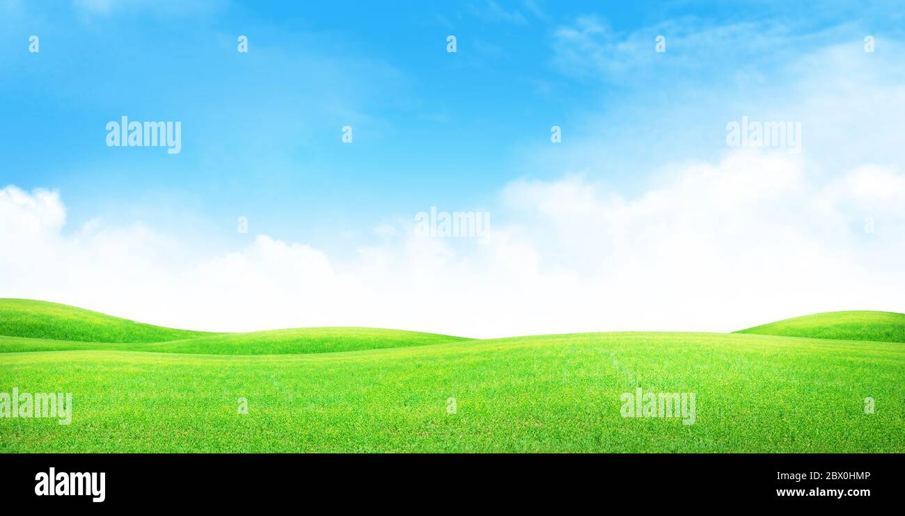 Green grass field and blue sky with bright sun summer landscape ...