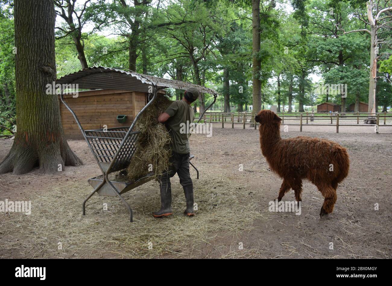 Zoo keepers hires stock photography and images Alamy