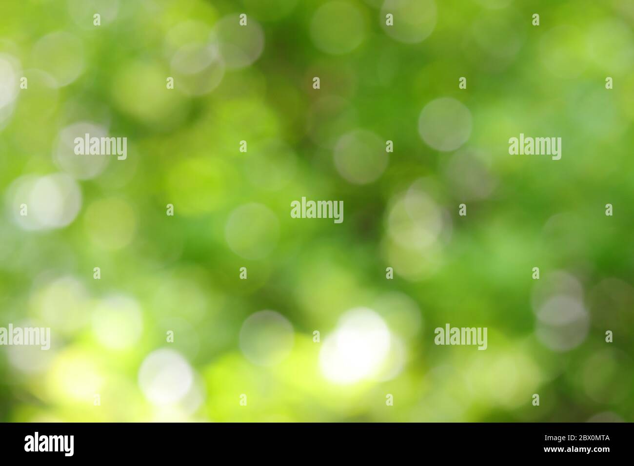 Photography nature background hd hi-res stock photography and images - Alamy