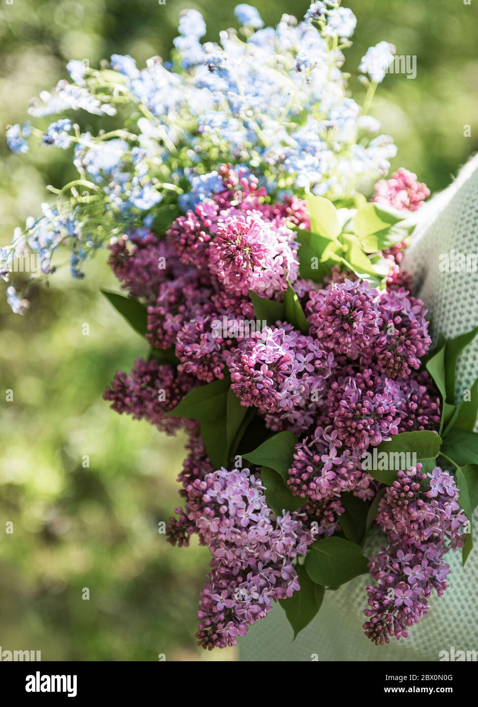 Spring Not Flowers Woman forget me not hi-res stock photography and images - Alamy