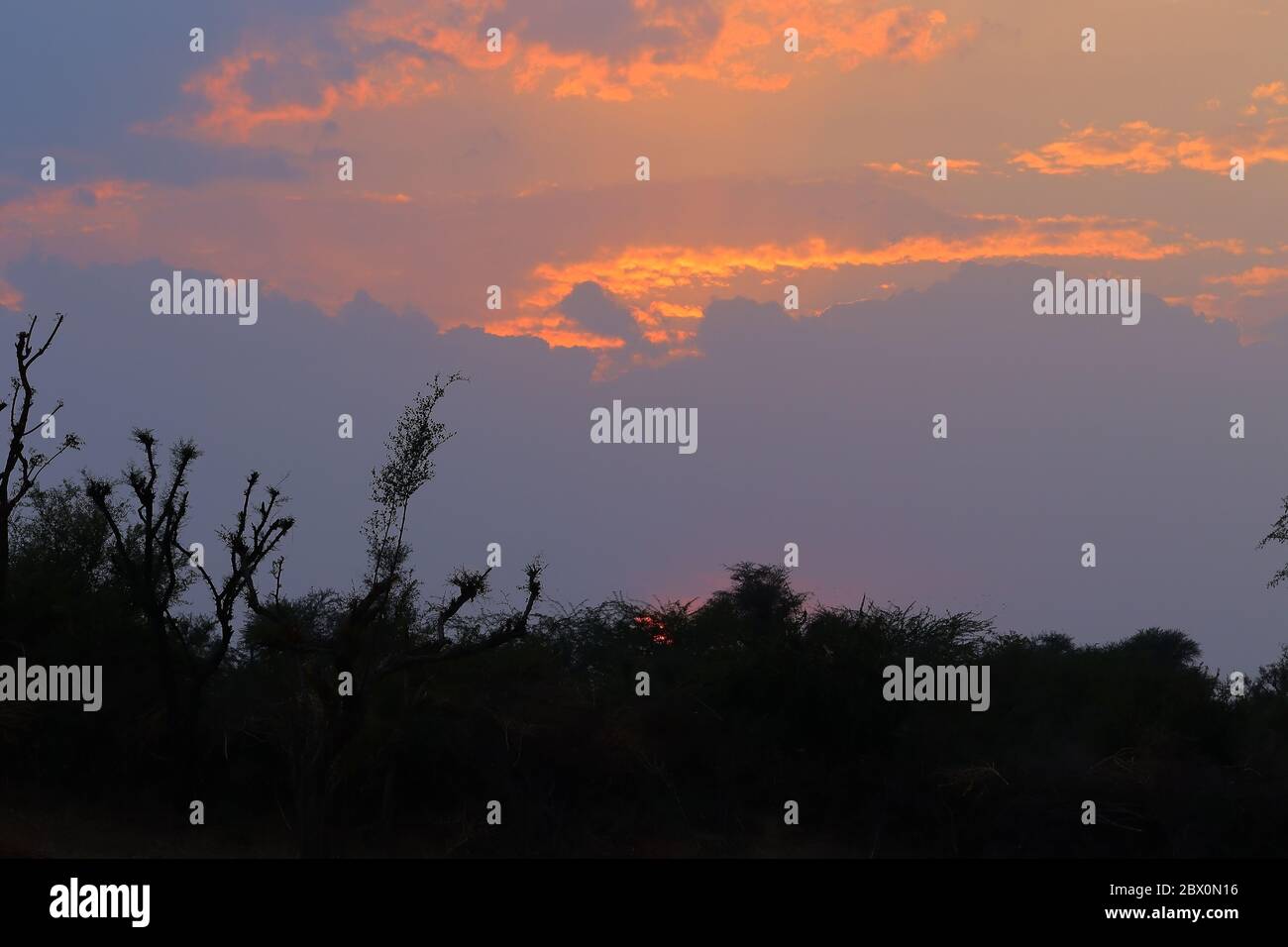 colourful domestic sky and clouds among sun sets behind silhouette forest trees in the monsoon season India Stock Photo