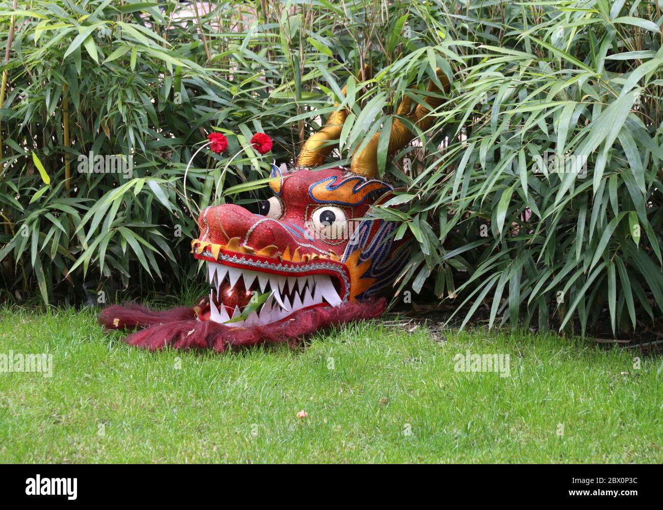 Cracow. Krakow. Poland. A head of chinese dragon in the bushes in front of  the chinese restaurant Stock Photo - Alamy