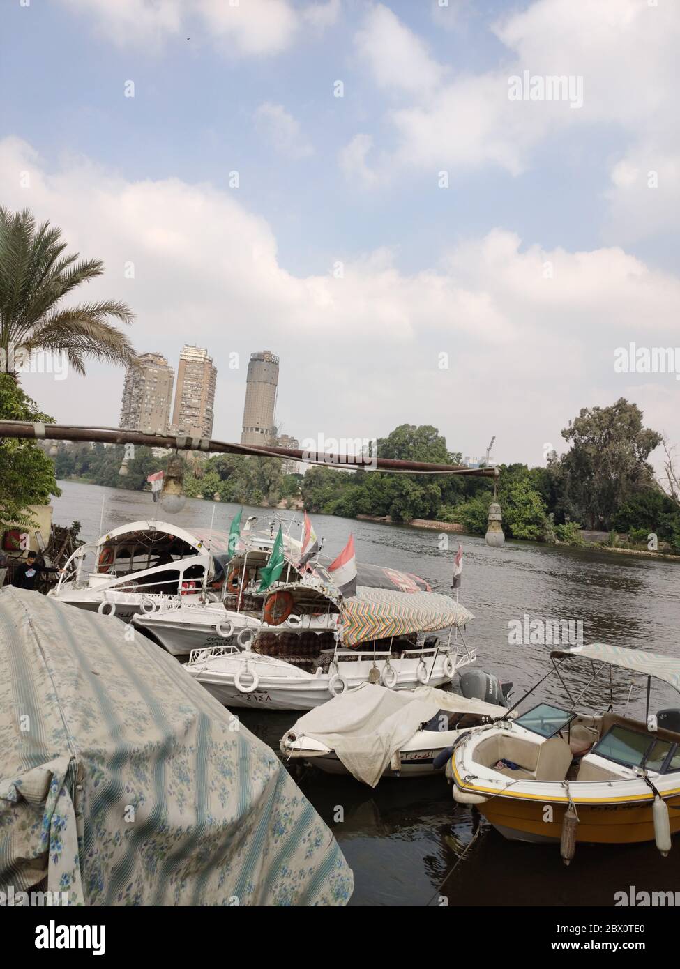 a nile river in cairo with palm trees Stock Photo - Alamy