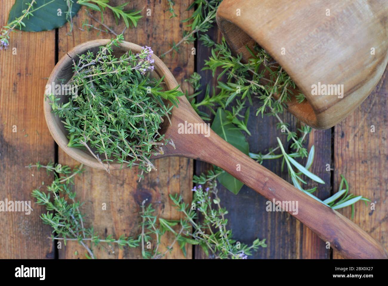 aromatic herb in a woden spoon and mortar on a wooden table Stock Photo