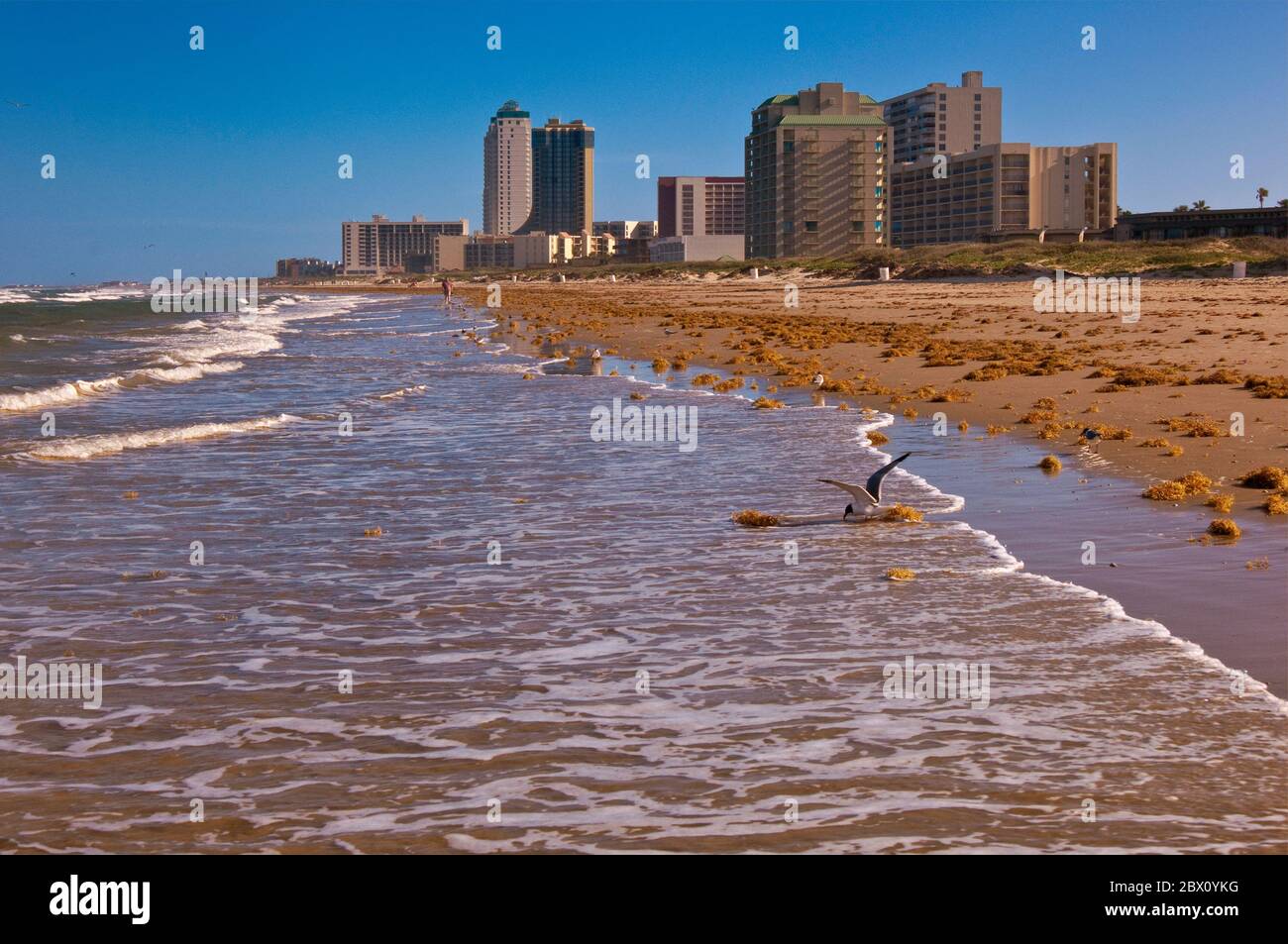 Condominium and hotel towers over Gulf of Mexico beach at South Padre Island, Texas, USA Stock Photo