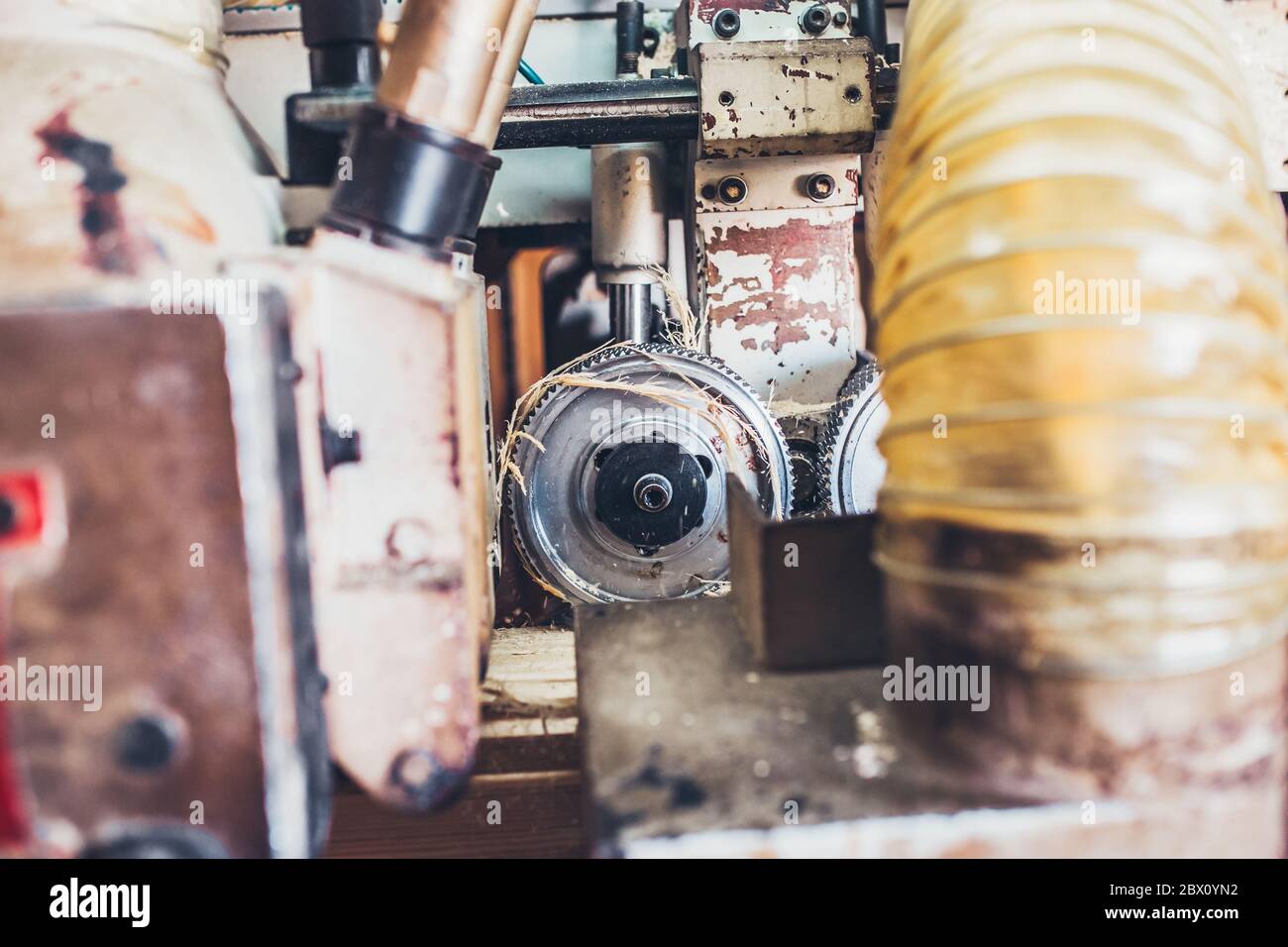 Close-up inside view - profiling machine - sawmill - production of ...