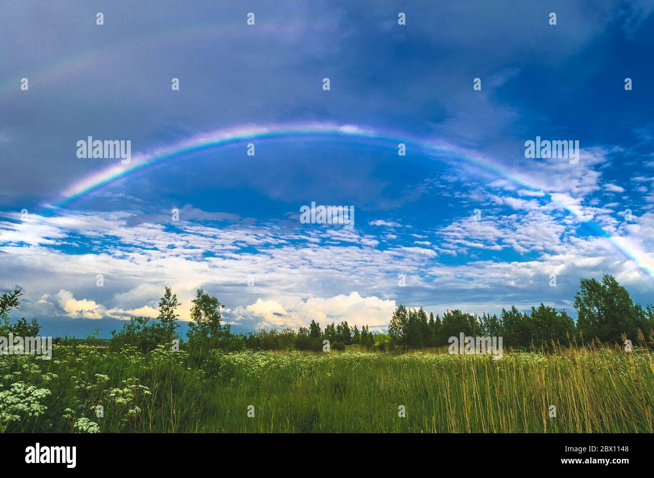Rainbow in the sky over fields and forests after rain Stock Photo