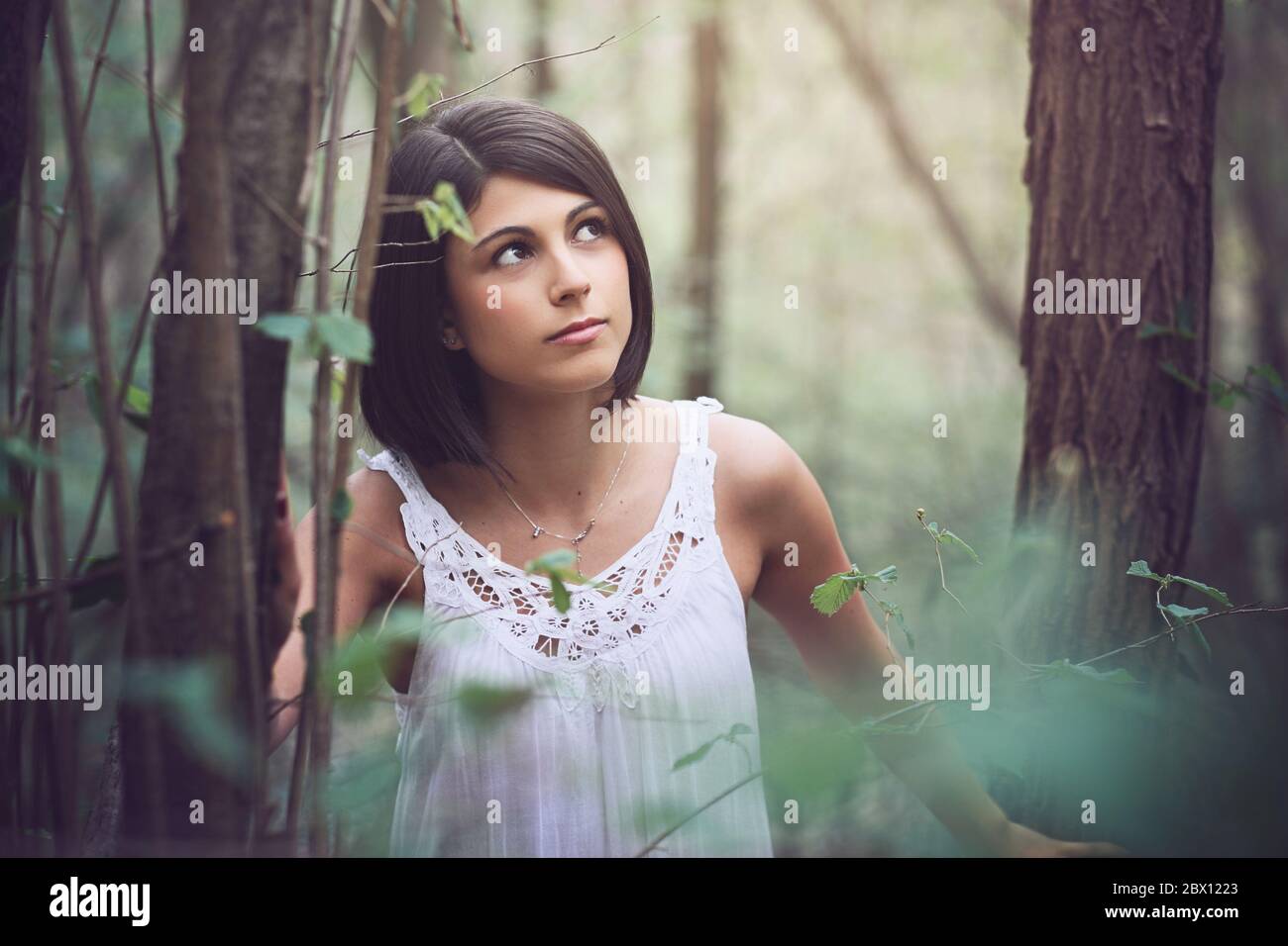 Beautiful woman portrait in soft light forest Stock Photo