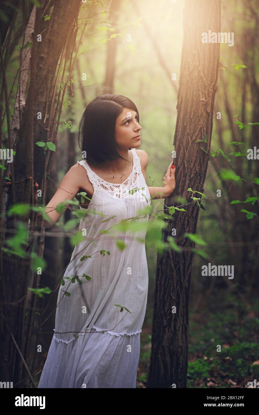 Beautiful woman walking in the woods . Soft light Stock Photo
