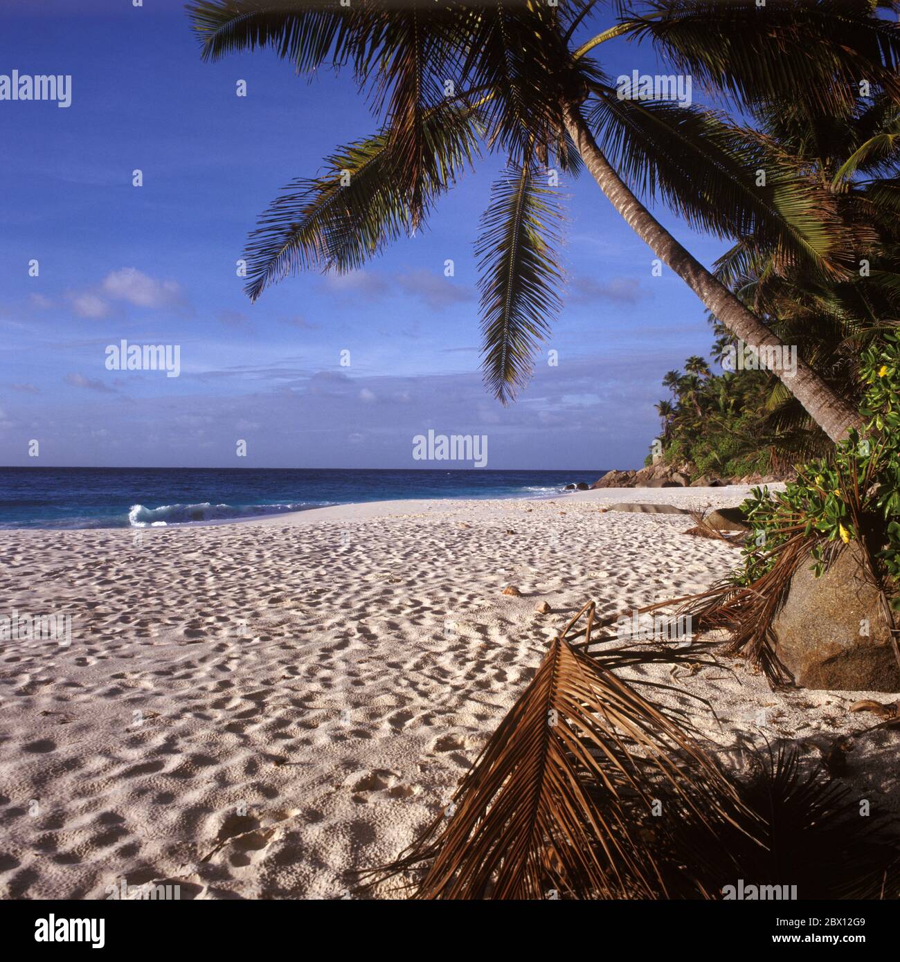 Seychellen/Frégate/Strand: Anse Victorin Stock Photo - Alamy