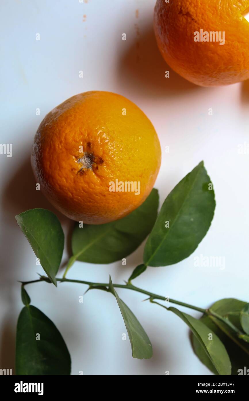 Red pulp malta orange hires stock photography and images Alamy