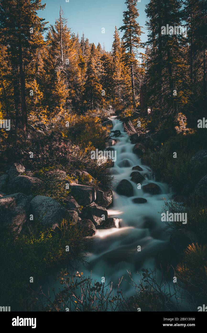 Sequoianationalpark hi-res stock photography and images - Alamy