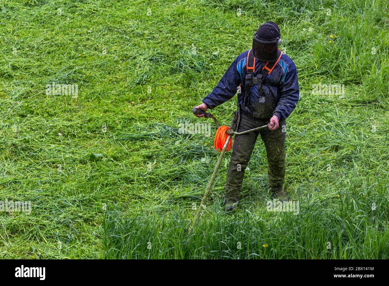 lawnmower man with string trimmer and face mask trimmong grass - close-up Stock Photo
