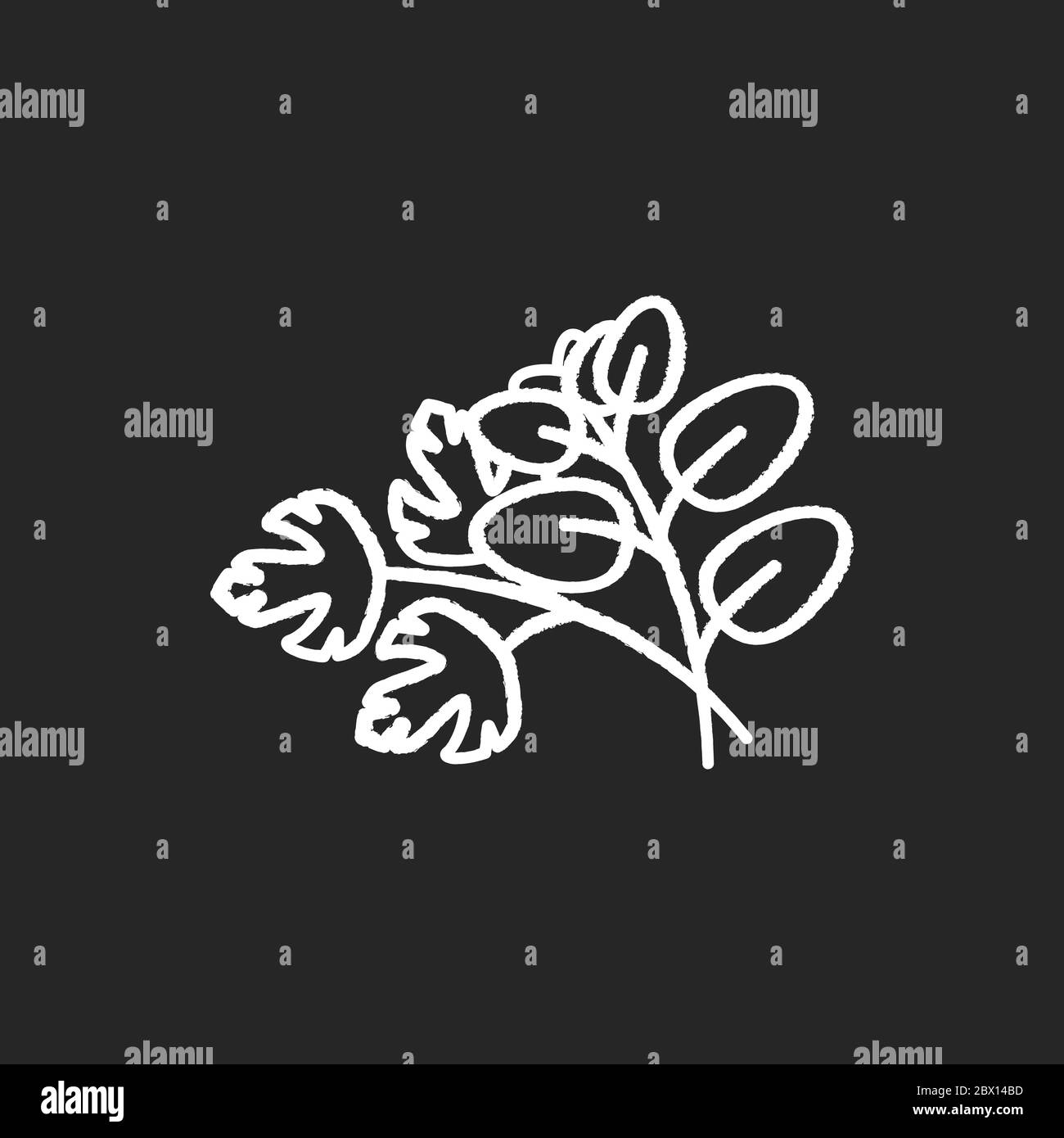 Fresh herbs chalk white icon on black background. Scented fresh vegetable. Italian nutrient condiment. Plant sprout. Dressing for flavor. Seasoning fo Stock Vector