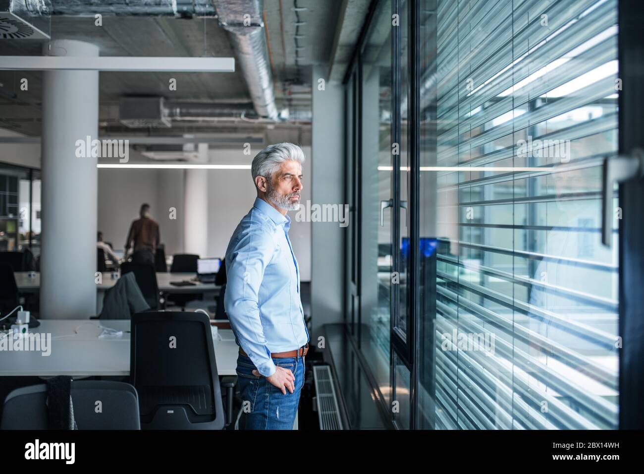 A mature businessman standing in an office, looking out of window. Stock Photo