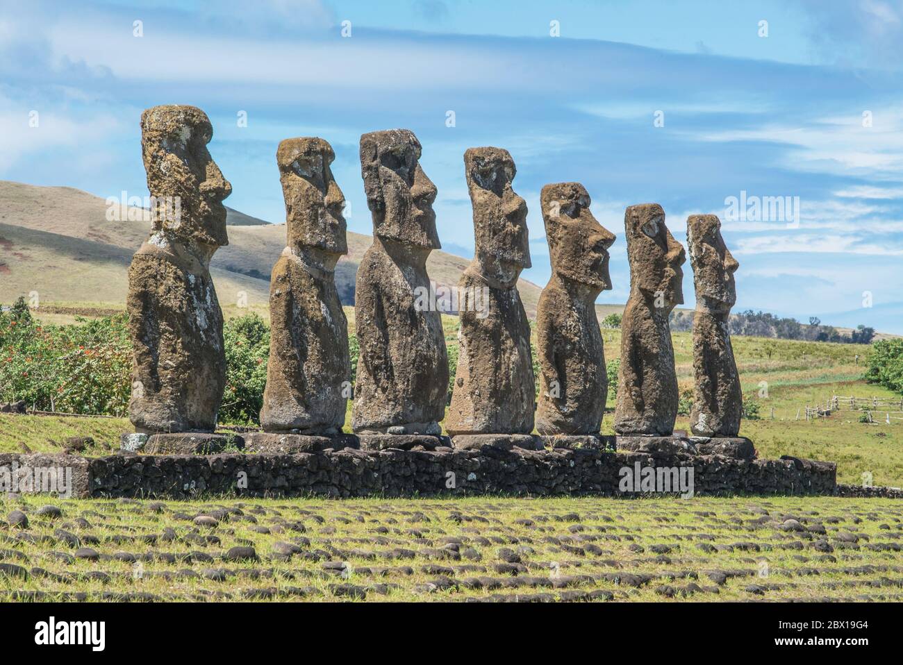 The famous Rapa Nui statues on Eastern Island in the Pacific ocean