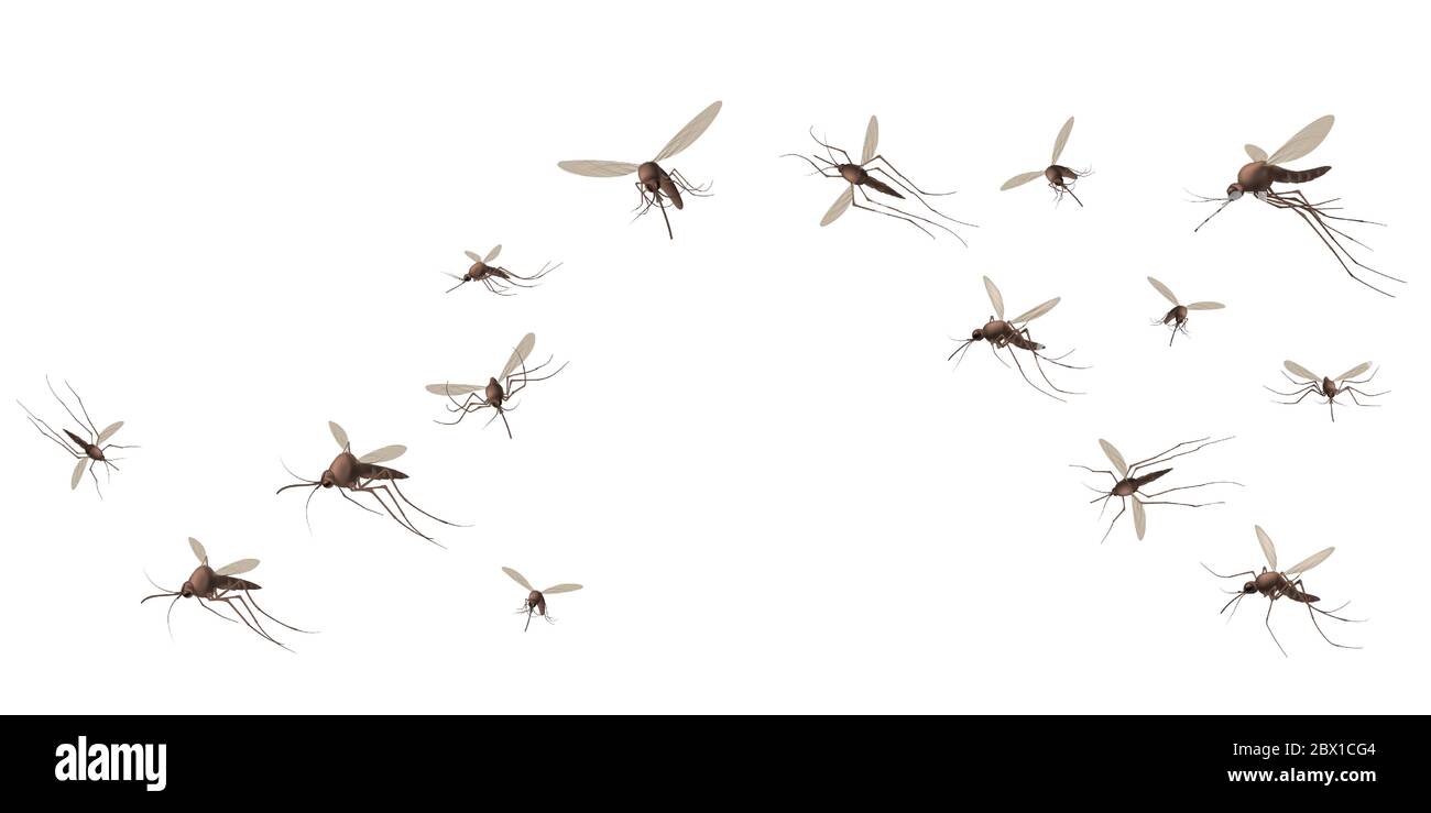 Flying mosquito insects. Gnat and pest, spreading viruses and diseases, gnats flock, repellent or spray promo poster vector concept Stock Vector