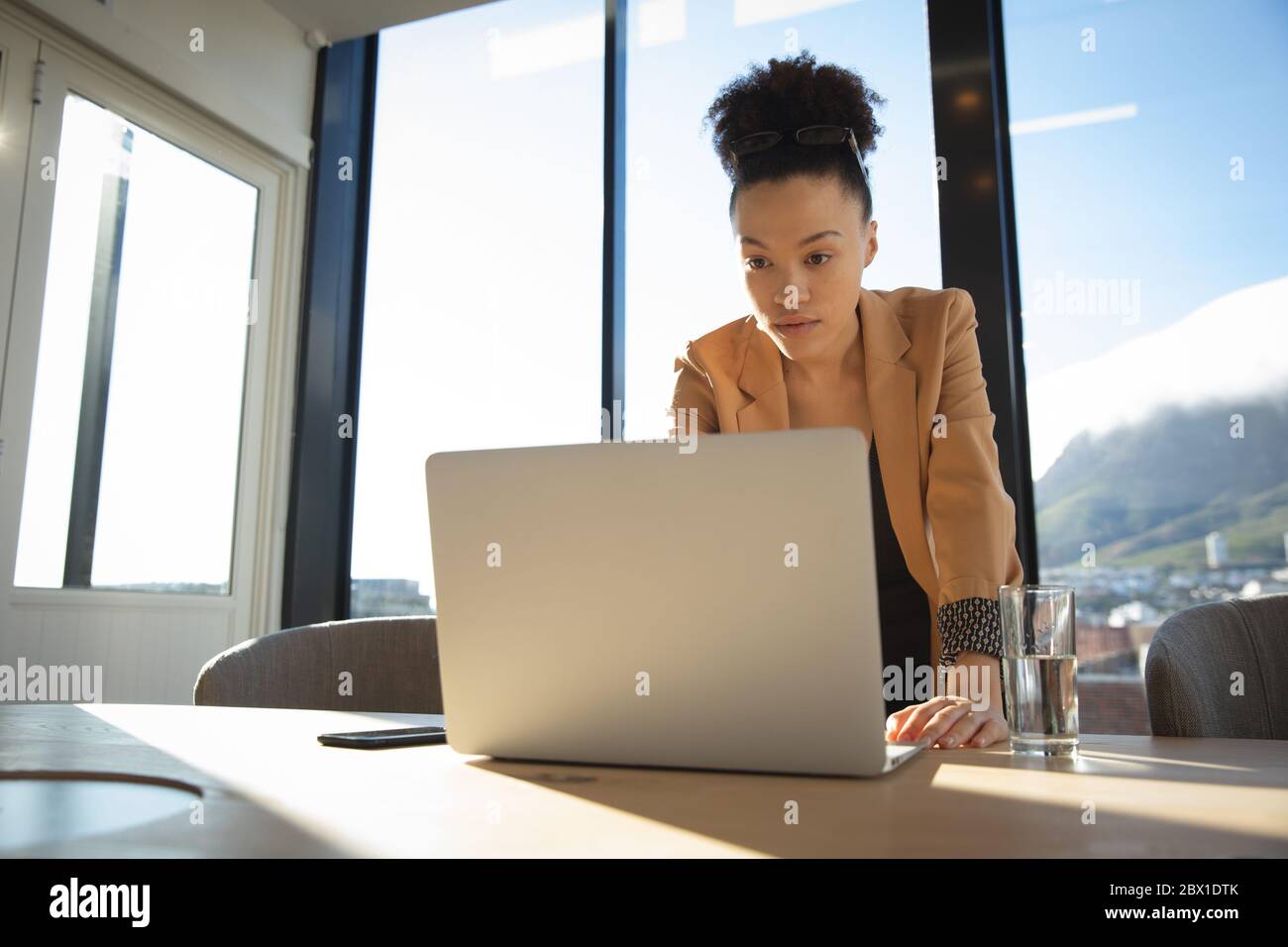 Mixed raced business woman using her laptop Stock Photo