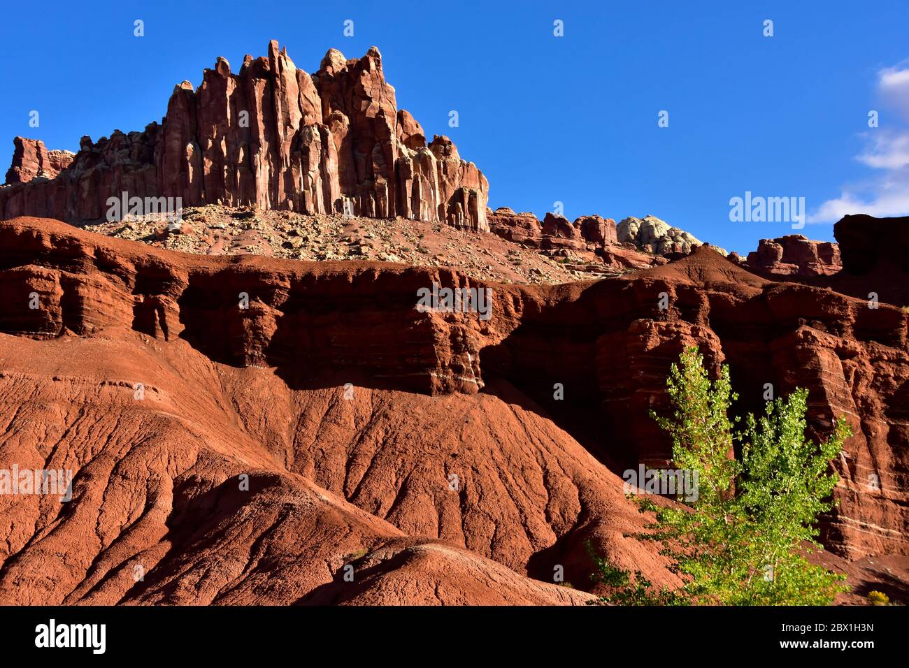 The red rocks prominent at Capital Reef National Park in Utah is called Entrada Sandstone. Stock Photo