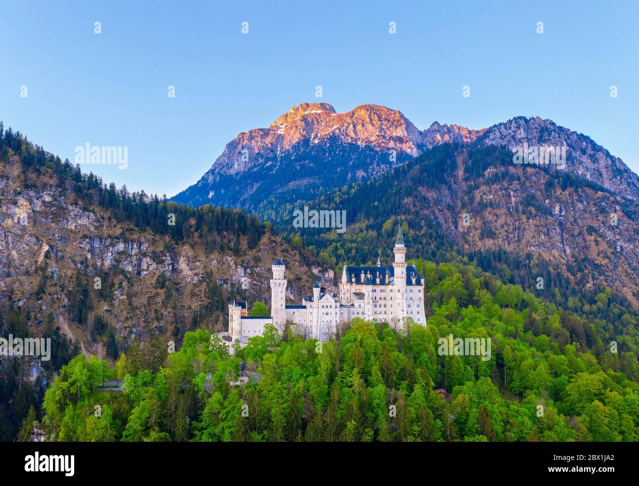 Neuschwanstein Castle, Mountain Saeuling in the morning light, Ammergau Alps, near Schwangau, drone shot, East Allgaeu, Allgaeu, Swabia, Bavaria Stock Photo