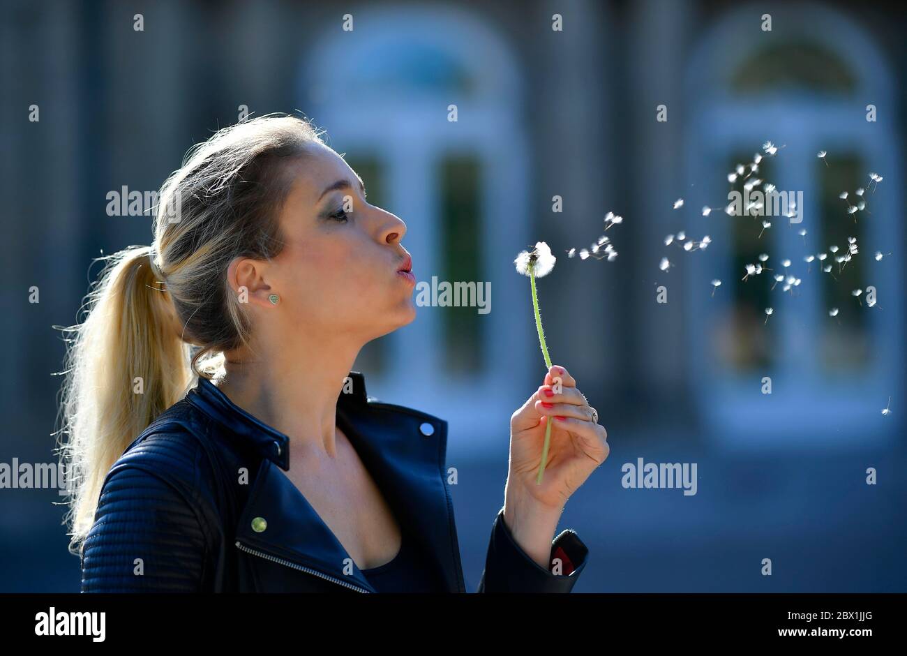 Blonde woman blowing dandelion, portrait, Baden-Wuerttemberg, Germany Stock Photo