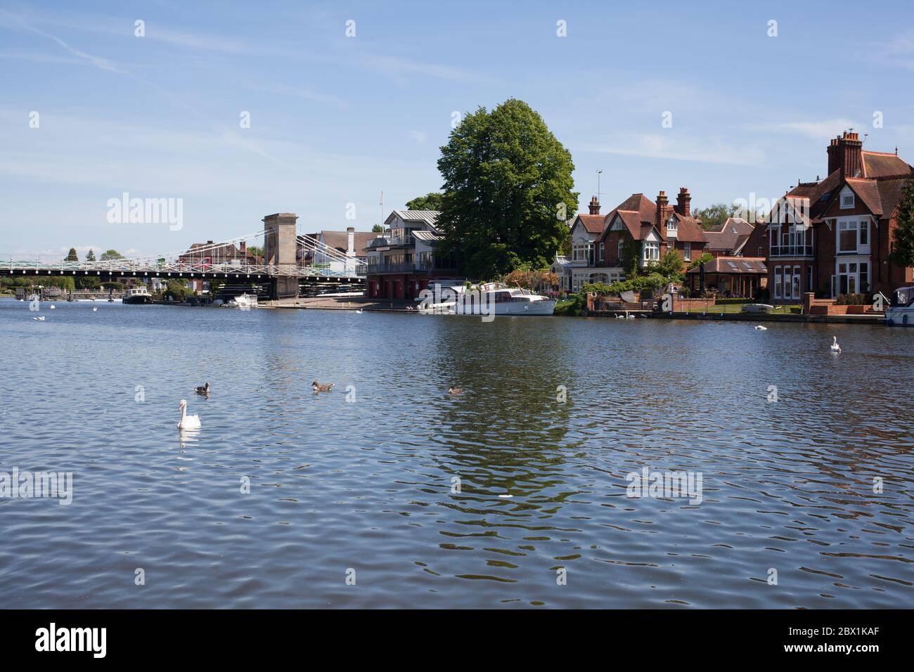 Views of The Thames and Marlow Bridge from Higginson Park in Marlow