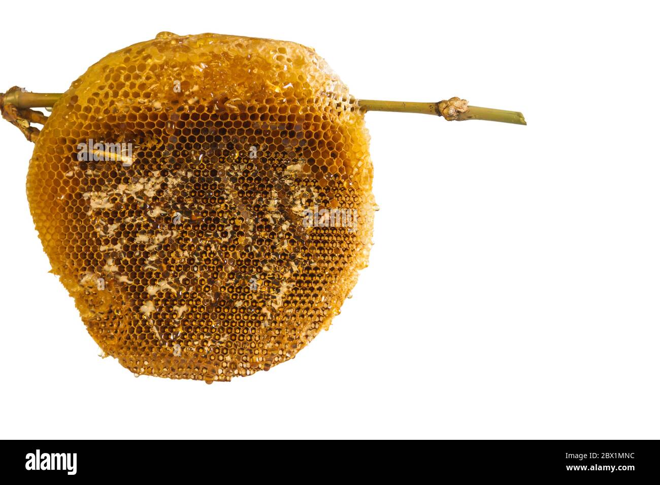 with honey Stock Photo Alamy