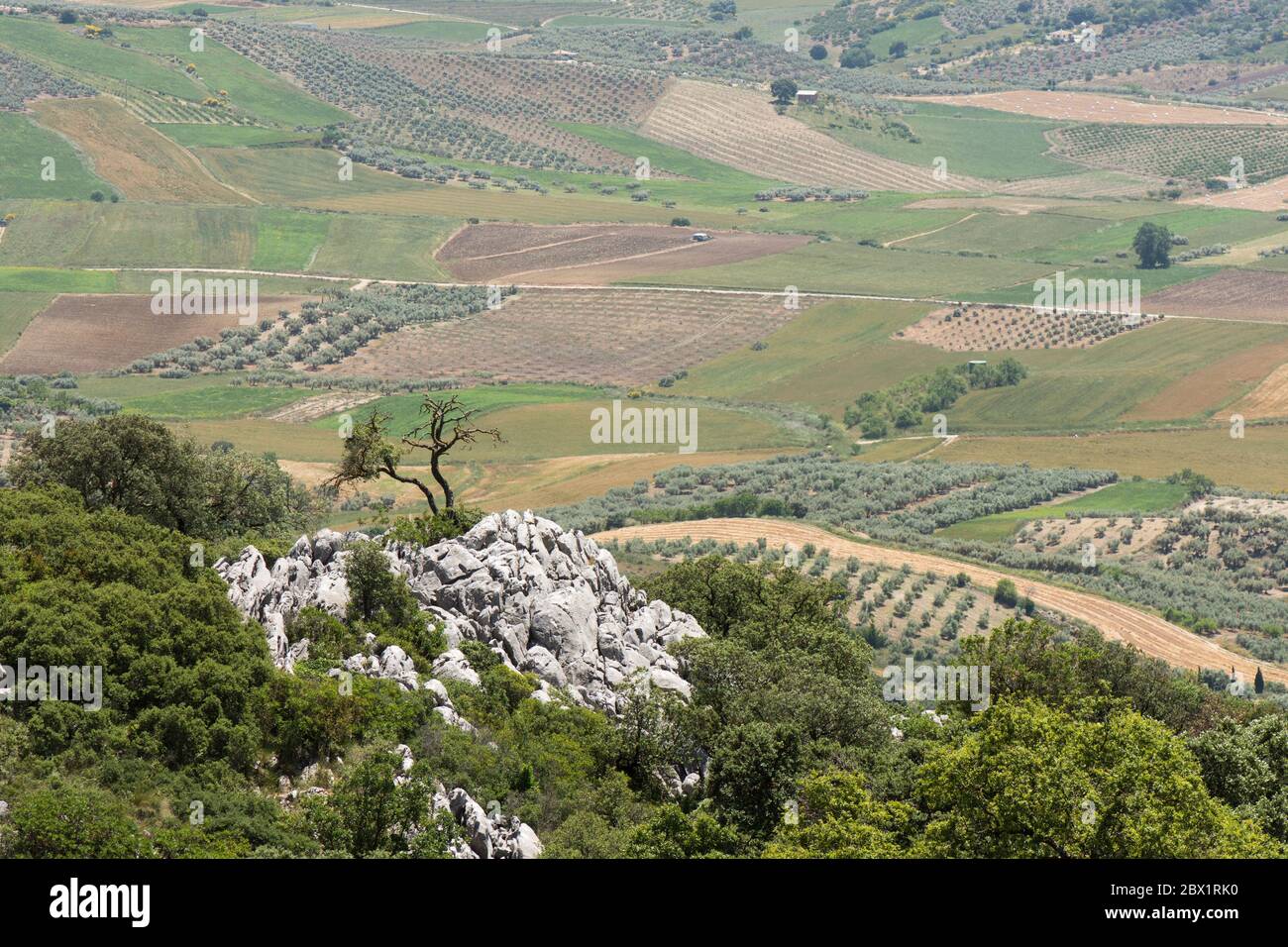Countryside and farm land with Limestone mountains around near Alfarnate, Andalucia, Spain. Stock Photo