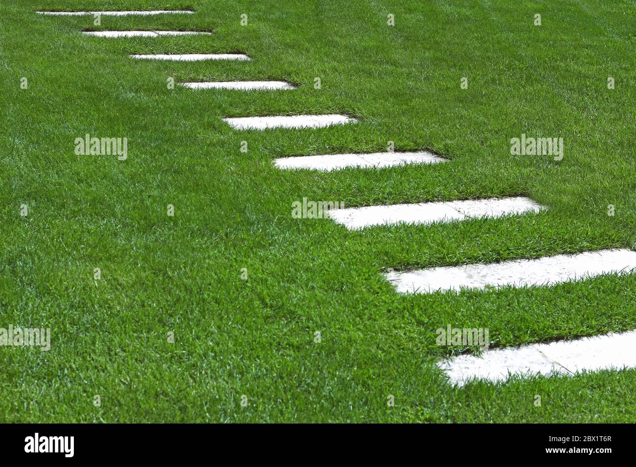stepping stone in a green lawn, diagonal path Stock Photo