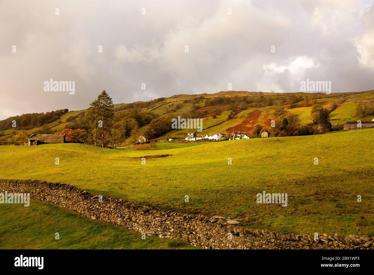 Beautiful fall landscape with sheep in the mountain village. Mental vacation, travel, holiday, quiete inner peace, harmony, ecology, time away, honeymoon concept Stock Photo