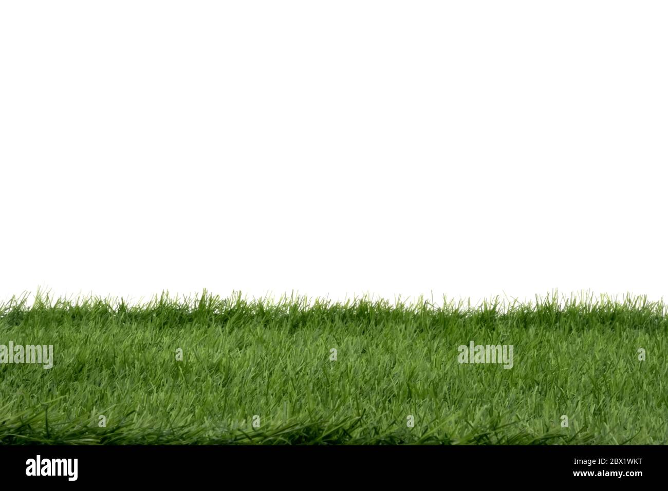 Green grass isolated on white background Stock Photo - Alamy