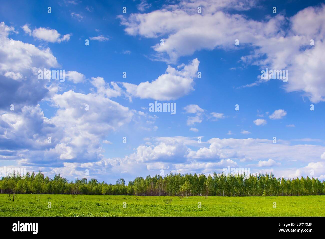 Panoramic trees landscape sky cloud sky hi-res stock photography and ...