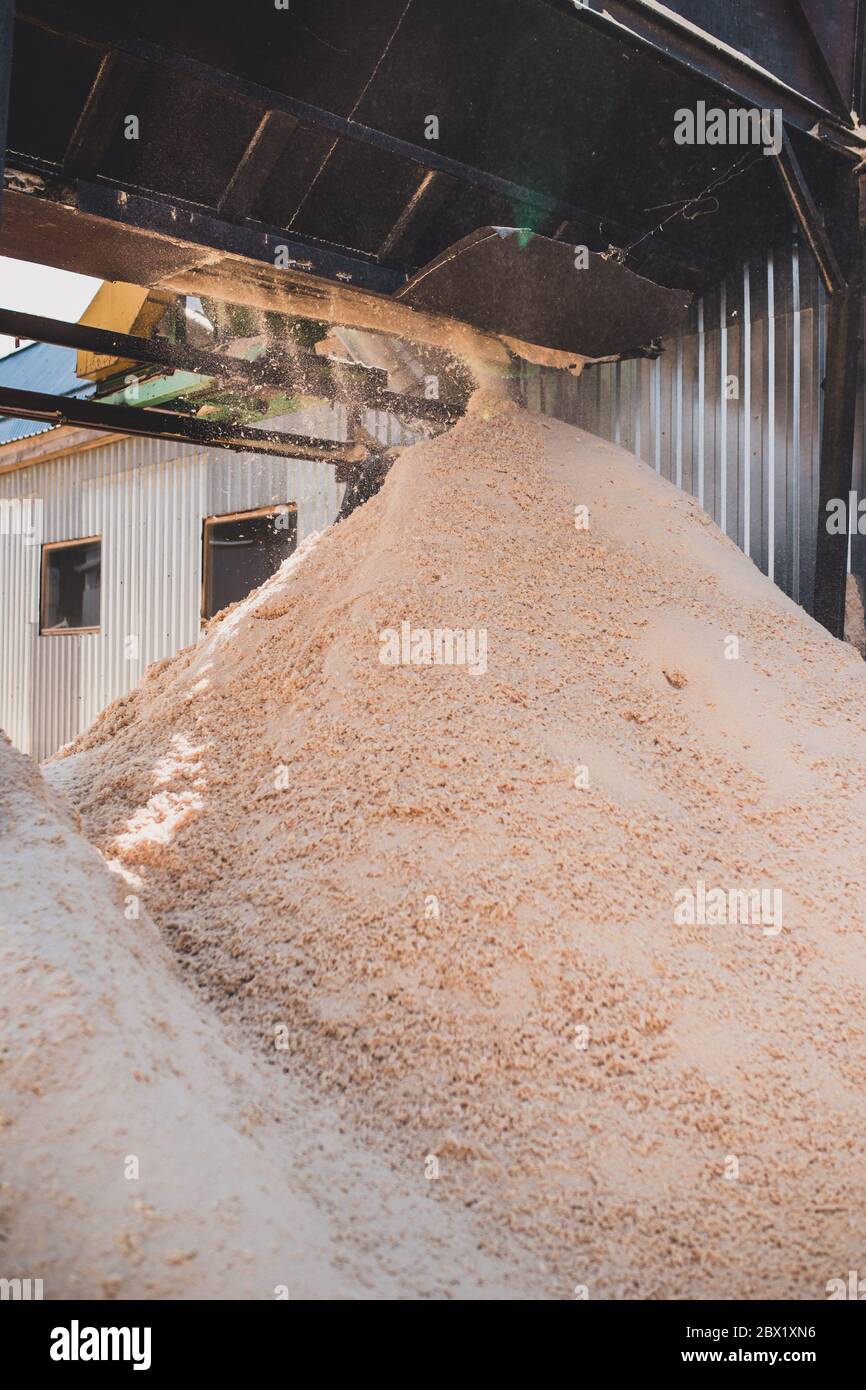Wood processing industry sawdust removal system and ventilation Stock