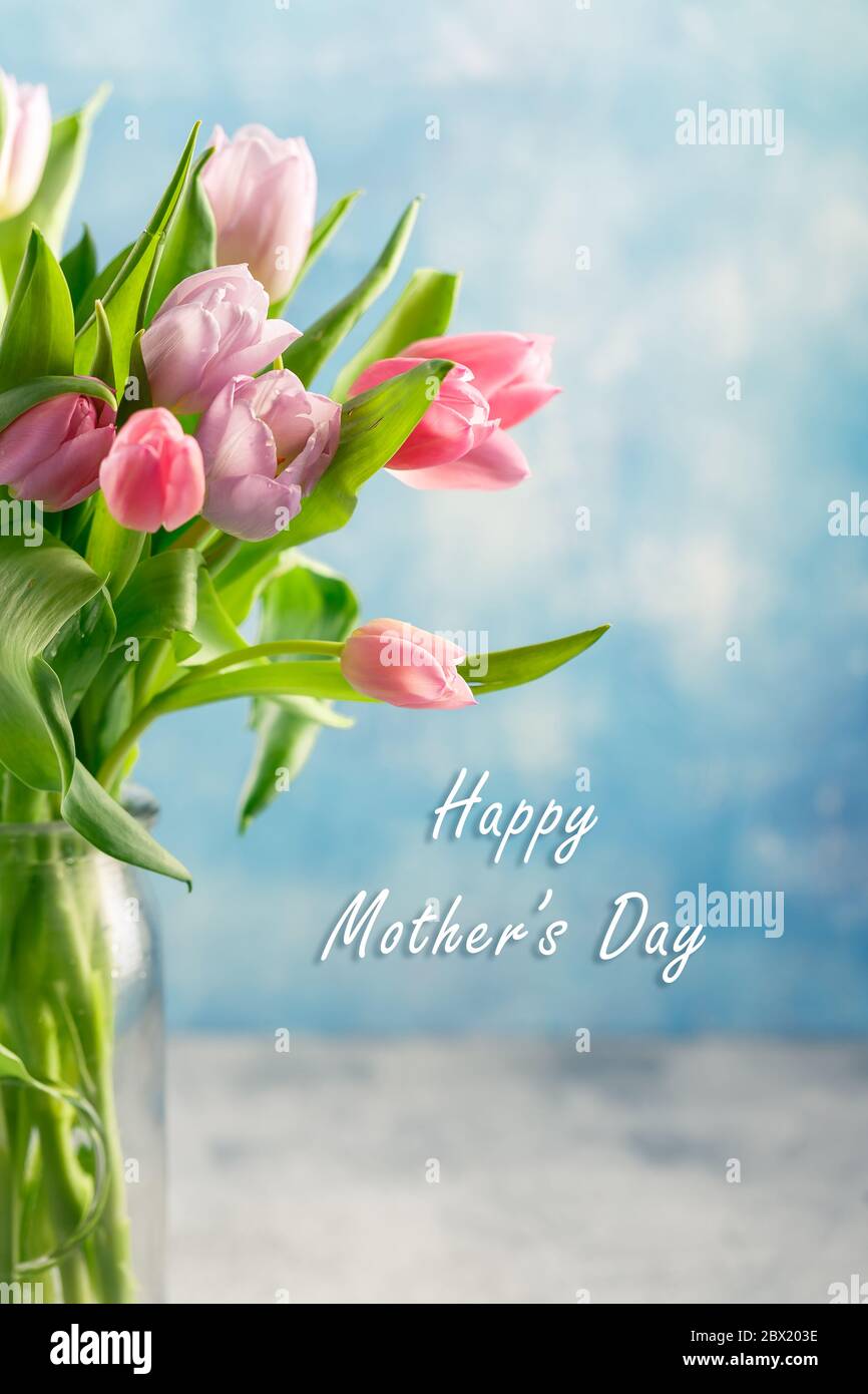 Bouquet of pink and lilac tulips in a glass vase on blue background ...